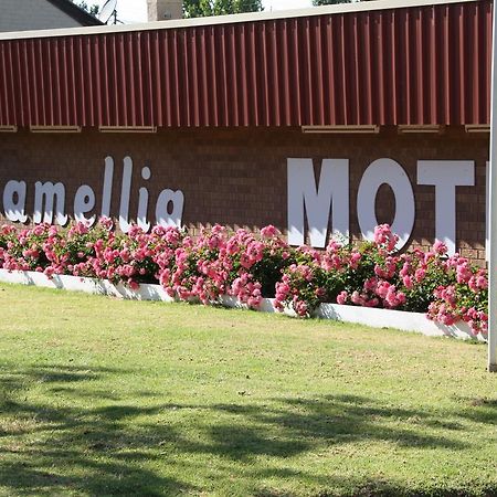 Camellia Motel Narrandera Bagian luar foto
