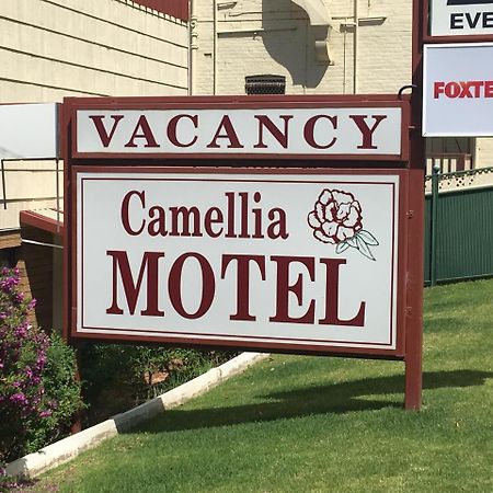 Camellia Motel Narrandera Bagian luar foto